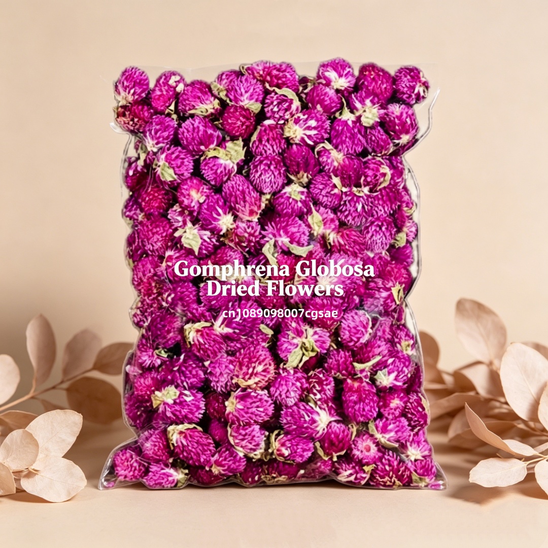 High-Quality Natural Gomphrena - Candle Making And Perfume ulasan dan harga
