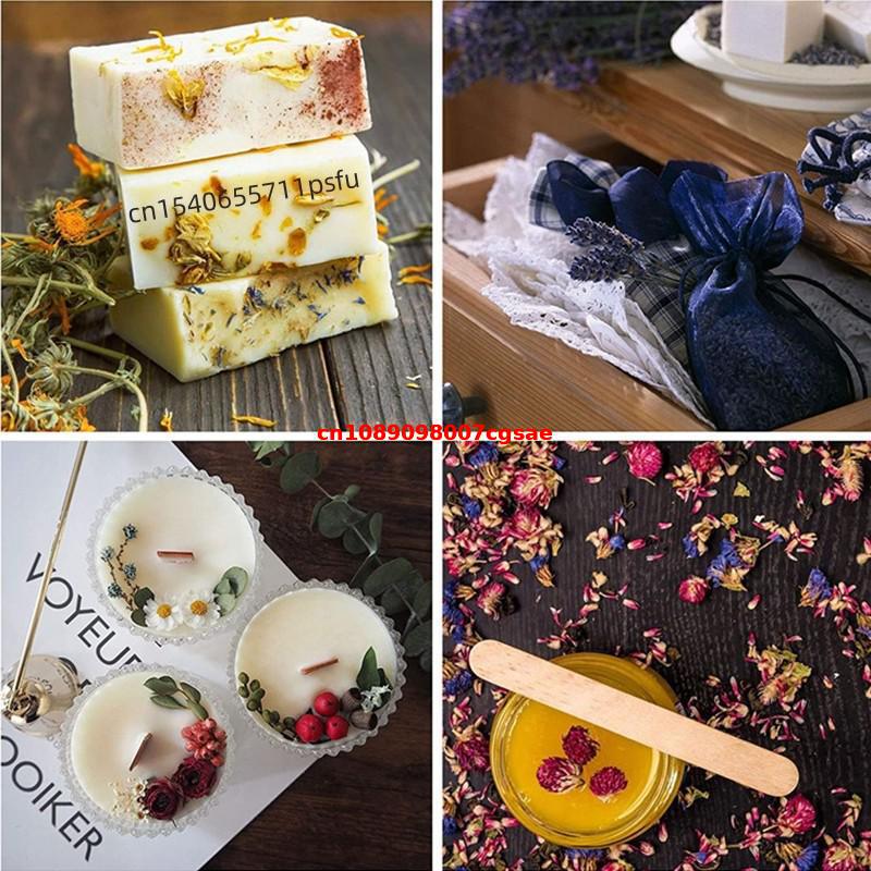 High-Quality Natural Gomphrena - Candle Making And Perfume ulasan dan harga