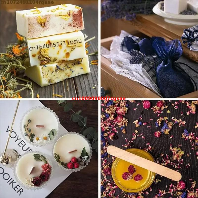 Natural Dried Flower Materials - Candle Making And Perfume ulasan dan harga