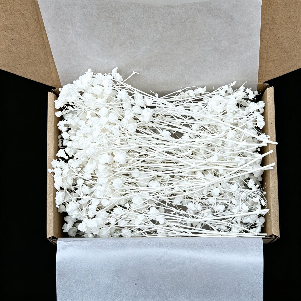 50Pcs Mini White Dried Baby's  - Candle Making Event ulasan dan harga
